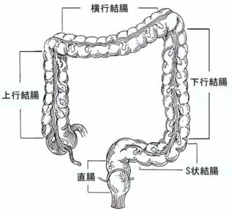 �咰�|���[�v