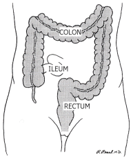 ��ᇐ��咰��