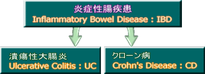炎症性腸疾患・潰瘍性大腸炎・クローン病