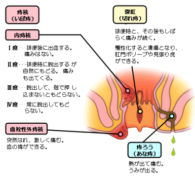 ��Ȏ��̎���