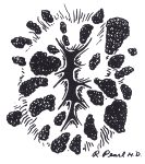 �R���W���[�}