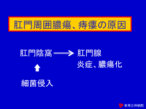 �����͔^ᇁ@��ᑂ̌���