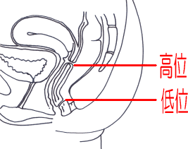 �����Tᑁ@���ʁ@���