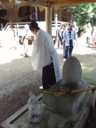 �{�i�̐K��