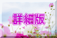 詳細版