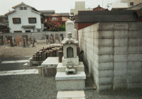 �H�R���_�̕�