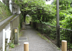 ���}�Ε��C�ʂ�