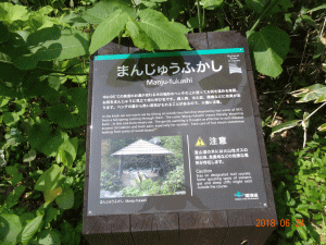 まんじゅうふかし説明版