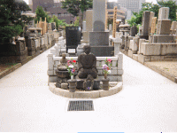 �����n��