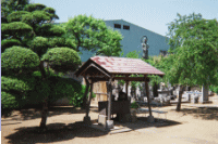 ���S�������̂���