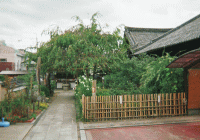 �֎��@�{��