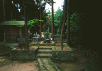 �H�R���_�̕�