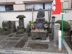 �H�R���_�̕�